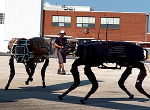 Big dog military robots