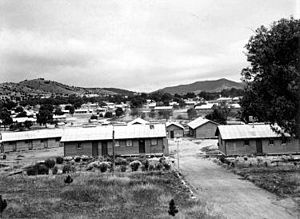 Bonegilla camp 1954