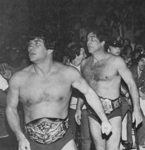 Briscos NWA World Tag Team Championship 1983