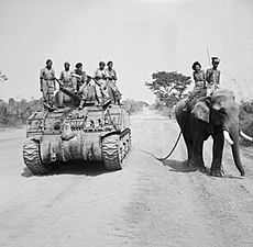 British commander and Indian crew encounter elephant near Meiktila
