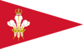 Burgee of the Royal Norfolk and Suffolk Yacht Club
