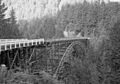 Carbon River Bridge