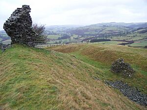 Castell Tinboeth 659389