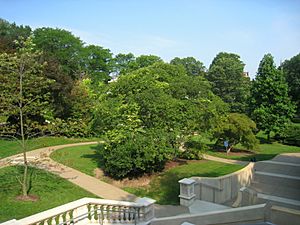Chatham University Arboretum - IMG 7664