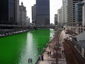 Chicago River dyed green, buildings more prominent