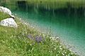 Colours of Kaltwassersee, Seefeld in Tirol A