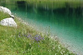 Colours of Kaltwassersee, Seefeld in Tirol A