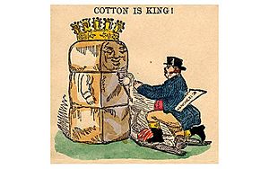 Cotton is king