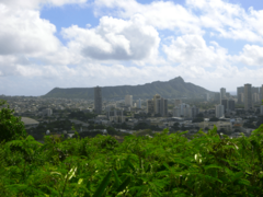 Diamondhead