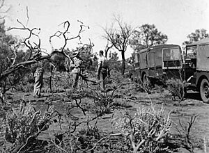 Emu - Ooldea - Tietkens Well reconnaissance - Photo 22