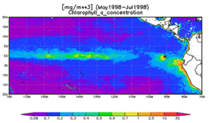 Equatorial upwelling zone in the Pacific ocean