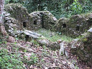 Espiritu Pampa Archaeological site - overgrown house