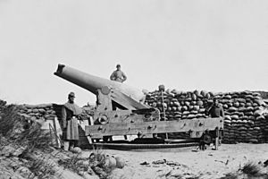 Fort Fisher Gun.jpg