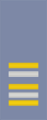 French Army (sleeves) OF-4