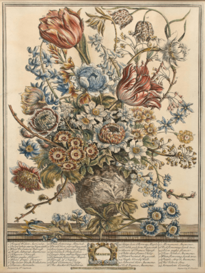Furber Twelve Months of Flowers - March