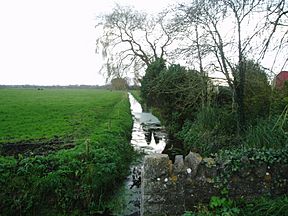 Galtons-Canal-lock-site-Somerset.jpg