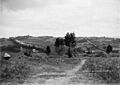 General view of Mayfield, Auckland (c. 1915) (cropped)