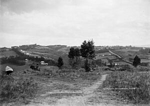 General view of Mayfield, Auckland (c. 1915) (cropped)