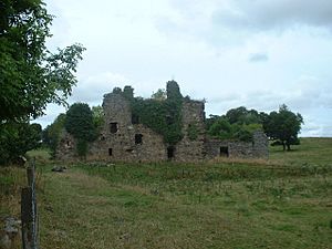 Gight Castle - geograph.org.uk - 51156