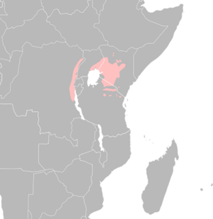 Golden-winged sunbird distribution map.svg