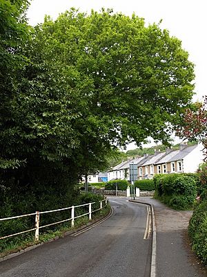 Gover Road, St Austell - geograph.org.uk - 1313404