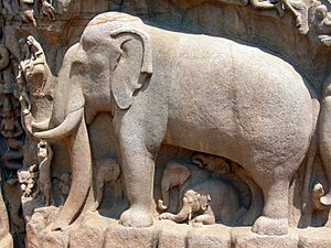 GraniteElephant