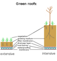 Intensive extensive green roofs