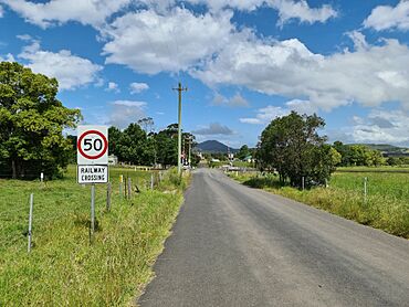 Jaspers Brush level crossing 2022 1.jpg