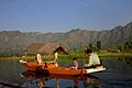 Kashmir Dal lake boat