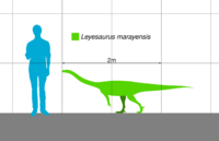 Leyesaurus Scale.svg
