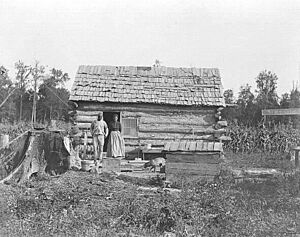 Log cabin homestead - DPLA - b123f5a1563fa8d3dd9ff0460e6da92d