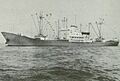 MV Netanya