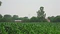 Marquart-Mercer Farm from the north