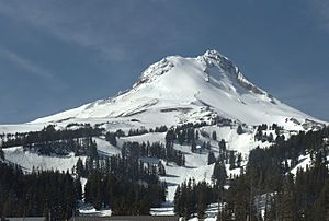 MtHoodMeadows2009