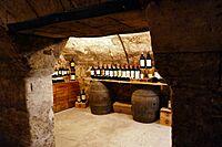 Musée du vin et du négoce de Bordeaux (3)