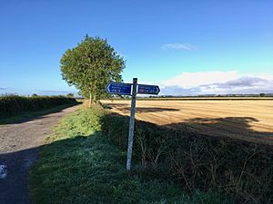 NCN 1 and NCN 164 route sign
