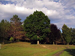 Nannen Arboretum 20160819 04
