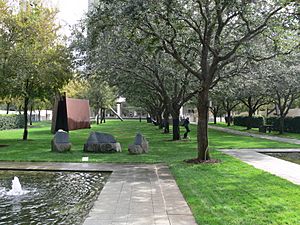 Nasher Sculpture Garden Dallas