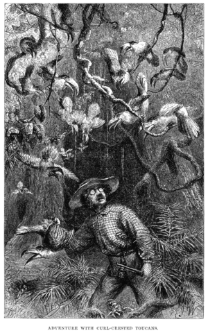 Naturalist on the River Amazons figure 32