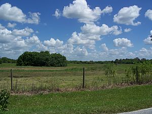 Okeechobee FL Battlefield01