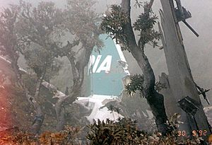 Pakistan International Airlines Flight 268 Crashsite