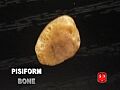 Pisiform bone