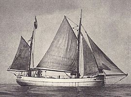 Plüschow-Ship (1)