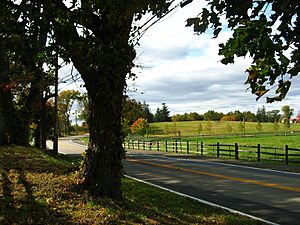 Pocantico Hills in Autumn