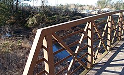 Ponchatoula Creek Southeastern footbridge