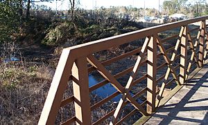 Ponchatoula Creek Southeastern footbridge