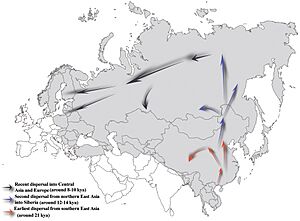 Early human migrations Facts for Kids