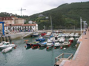 The fishing port of Armintza