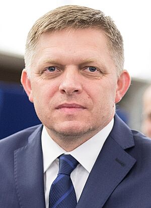 Robert Fico, official portrait (2016, cropped)