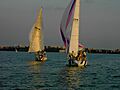 Sailboats on Lake Mendota